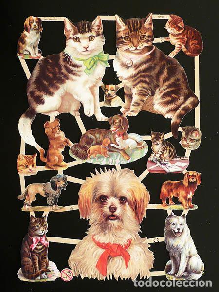 Coleccionismo Cromos troquelados antiguos: ZPR. LAMINA DE CROMOS TROQUELADOS CON BRILLO Y RELIEVE EF - 7238 - PERROS Y GATOS