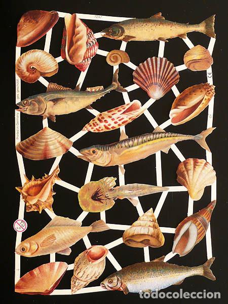Coleccionismo Cromos troquelados antiguos: ZPR. LAMINA DE CROMOS TROQUELADOS CON BRILLO Y RELIEVE EF - 7247 - FAUNA MARINA