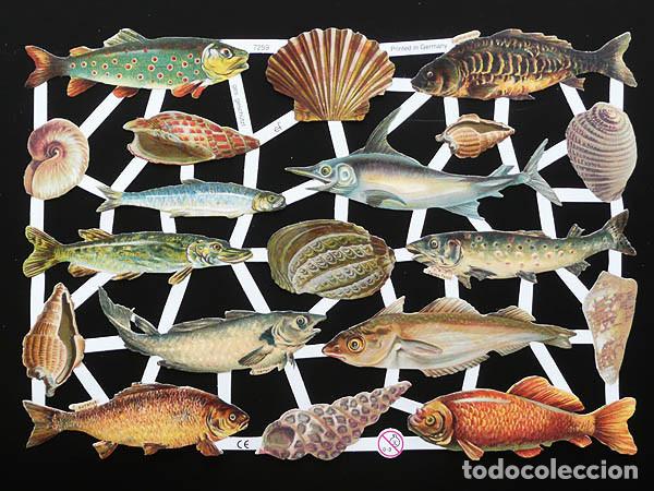 Coleccionismo Cromos troquelados antiguos: ZPR. LAMINA DE CROMOS TROQUELADOS CON BRILLO Y RELIEVE EF - 7259 - FAUNA MARINA