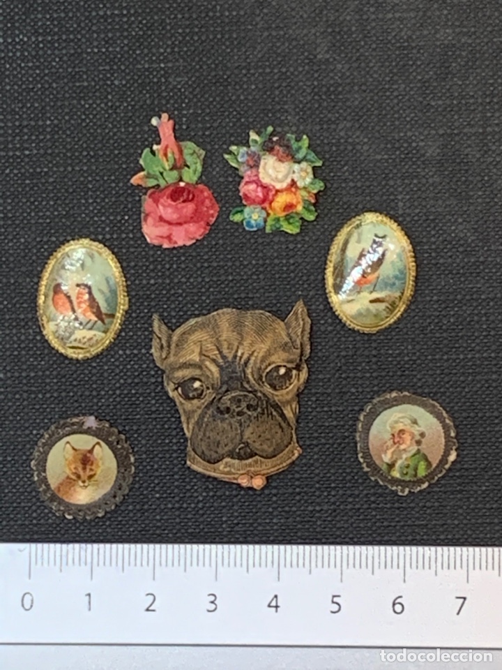 Colecionismo Cromos recortados antigos: 7 cromos troquelados s. XIX