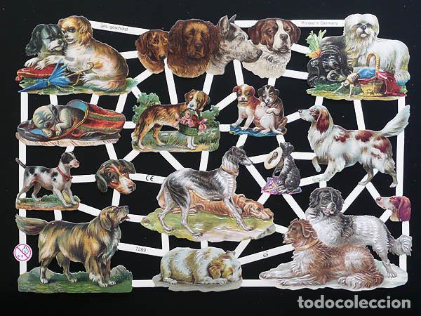 Coleccionismo Cromos troquelados antiguos: ZPR. LAMINA DE CROMOS TROQUELADOS CON BRILLO Y RELIEVE EF - 7289 - PERRETES