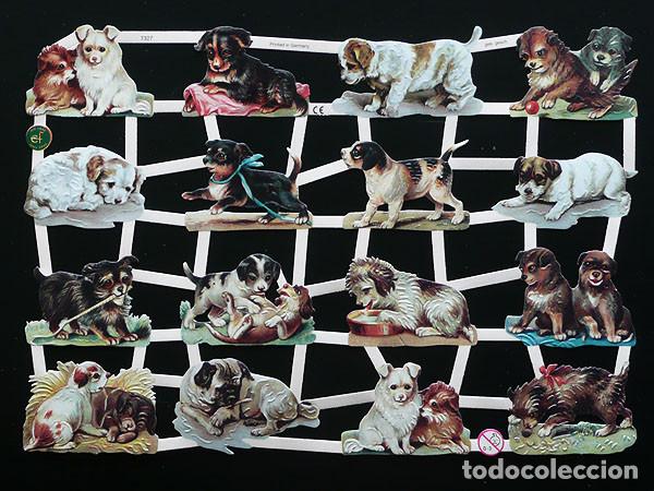 Collectable Antique Stamped Cards: ZPR. LAMINA DE CROMOS TROQUELADOS CON BRILLO Y RELIEVE EF - 7327 - CACHORRITOS PERRETES