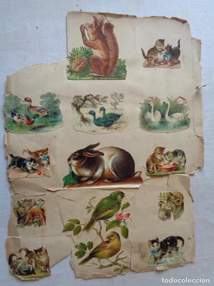 Collectable Antique Stamped Cards: VEINTISIETE CROMOS TROQUELADOS SIGLO XIX.CR.-029