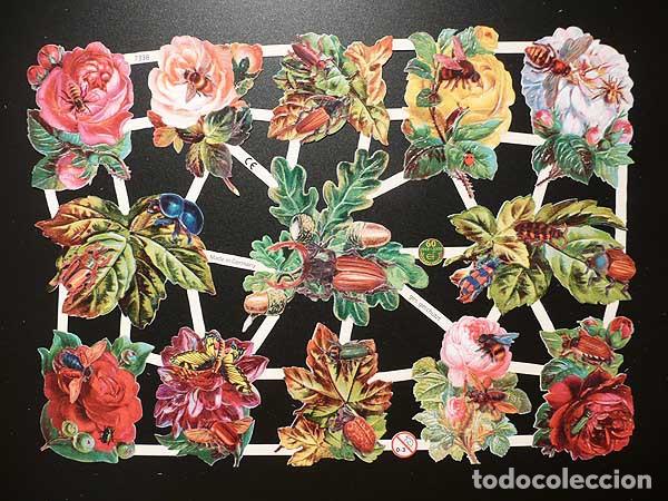 Collectable Antique Stamped Cards: ZPR. LAMINA DE CROMOS TROQUELADOS CON BRILLO Y RELIEVE EF - 7338 - FLORES E INSECTOS