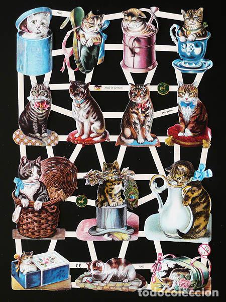 Colecionismo Cromos recortados antigos: ZPR. LAMINA DE CROMOS TROQUELADOS CON BRILLO Y RELIEVE EF - 7360 - GATITOS
