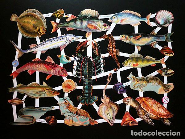 Colecionismo Cromos recortados antigos: ZPR. LAMINA DE CROMOS TROQUELADOS CON BRILLO Y RELIEVE EF - 7374 - FAUNA MARINA