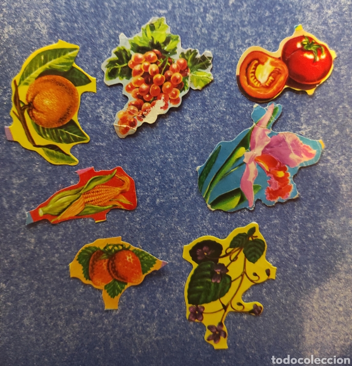 Sammeln alte gestanzte Sammelbilder: TU OCASI&Oacute;N DE ENCONTRARLO, VER DESCRIPCI&Oacute;N, CROMOS TROQUELADOS SUELTOS DE BOGA SERIE 231