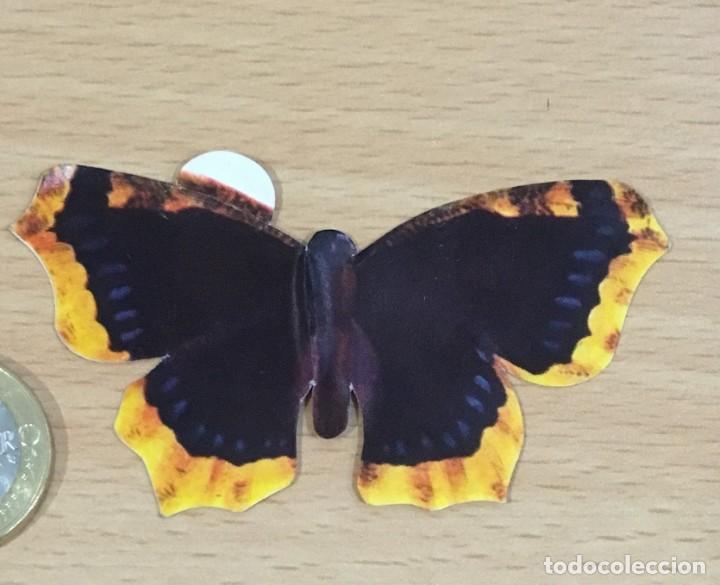 Colecionismo Cromos recortados antigos: CROMO ADHESIVO n&ordm; 30 PARA EL &Aacute;LBUM LAS 100 MARIPOSAS M&Aacute;S BELLAS, DE PANRICO (1974) - VANESSA MORIO
