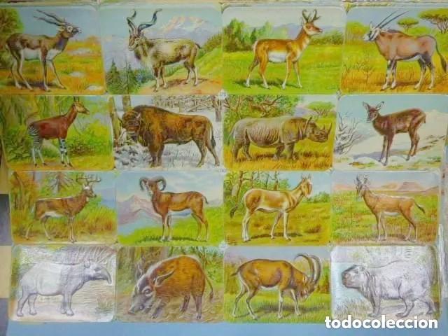 Sammeln alte gestanzte Sammelbilder: lamina 16 cromos a&ntilde;os 40