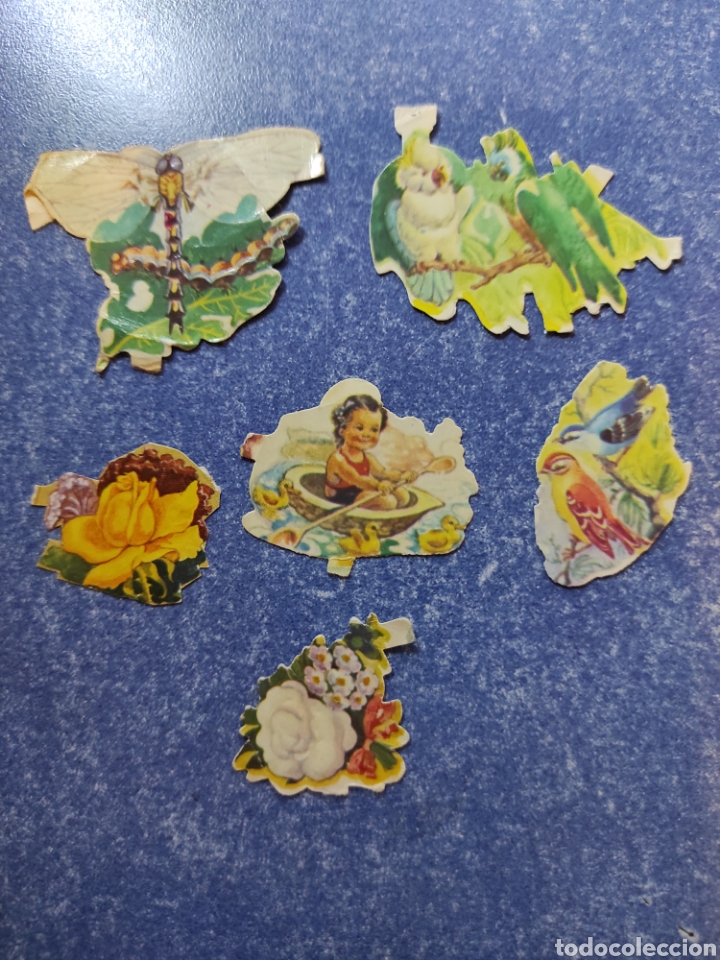 Collezionismo Figurine ritagliate antiche: &rdquo;TU OCASI&Oacute;N DE ENCONTRALO&rdquo; POR UNIDAD O LOTE, CROMOS TROQUELADOS EVA 126