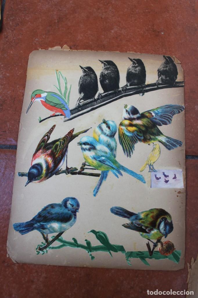 Sammeln alte gestanzte Sammelbilder: LOTE DE CROMOS TROQUELADOS PEGADOS EN PAPEL