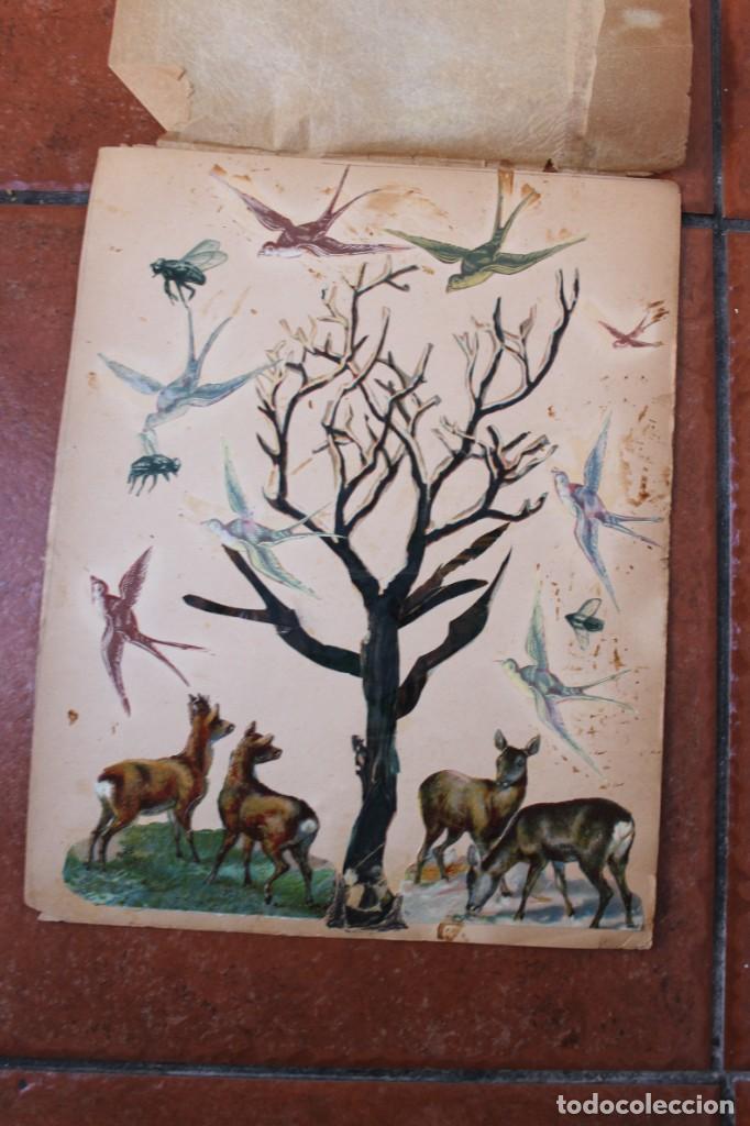 Sammeln alte gestanzte Sammelbilder: LOTE DE CROMOS TROQUELADOS PEGADOS EN PAPEL