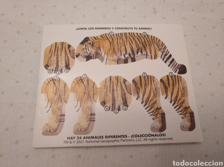 Sammeln alte gestanzte Sammelbilder: Wildlife Explorer, empieza la aventura. National Grographic Tigre