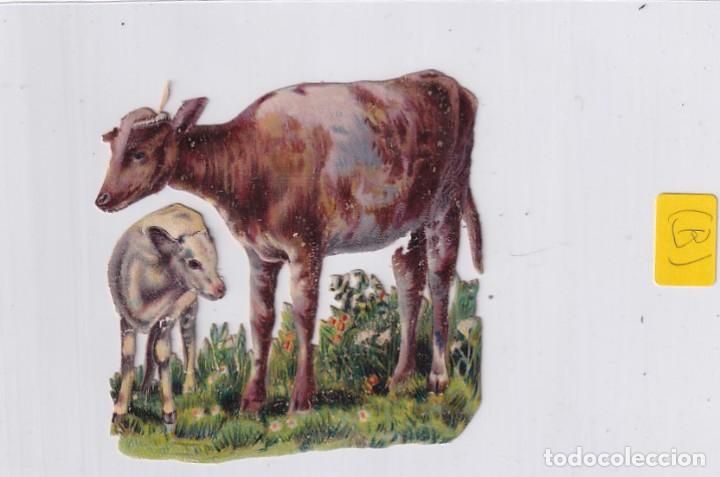 Coleccionismo Cromos troquelados antiguos: Antiguo cromo troquelado vaca y ternero. 7 x 8 cm