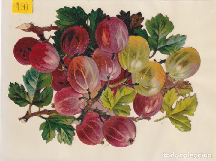 Colecionismo Cromos recortados antigos: Antiguo cromo troquelado uvas 16 x 12cm