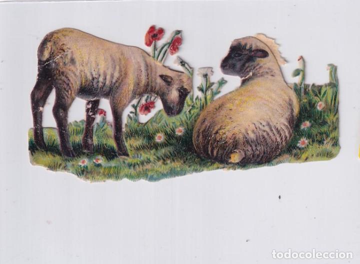 Coleccionismo Cromos troquelados antiguos: Cromo troquelado. Ovejas 11 x 6 cm