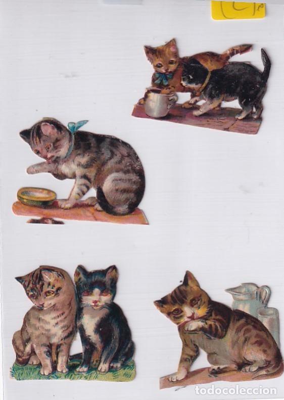 Sammeln alte gestanzte Sammelbilder: 4 Antiguos cromos troquelados gatos unos 4 cm de media.