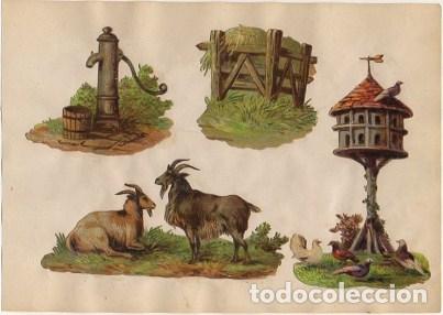 Collectable Antique Stamped Cards: 5 CROMOS TROQUELADOS DE &Eacute;POCA. ESCENAS DE CAMPO. MONTADOS EN CARTULINA DE 23X16 CM. CROMOTRO-0045