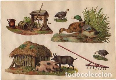 Collectable Antique Stamped Cards: 6 CROMOS TROQUELADOS DE &Eacute;POCA. ESCENAS DE CAMPO. MONTADOS ENCARTULINA DE 23X16 CM. CROMOTRO-0047