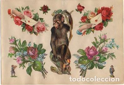 Sammeln alte gestanzte Sammelbilder: 9 CROMOS TROQUELADOS DE &Eacute;POCA. MONO Y FLORES. MONTADOS SOBRE CARTULINA DE 23X16 CM. CROMOTRO-0063