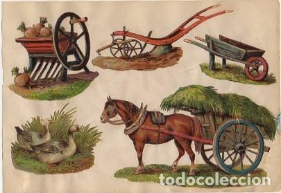 Sammeln alte gestanzte Sammelbilder: 5 CROMOS TROQUELADOS DE &Eacute;POCA. MOTIVOS DE CAMPO. MONTADOS ENCARTULINA DE 23X16 CM. CROMOTRO-0064