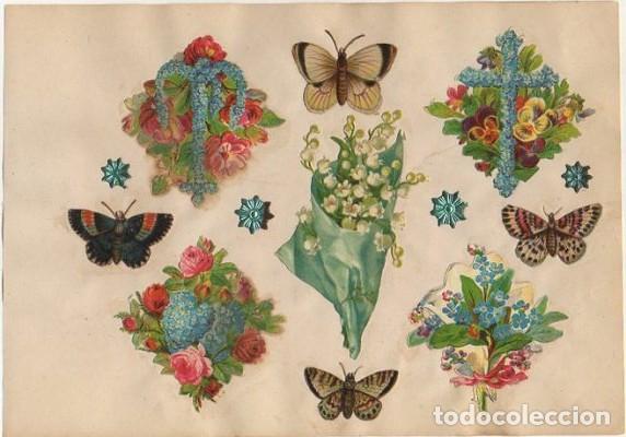 Collectionnisme Cartes &agrave; collectionner massicot&eacute;es anciennes: 9 CROMOS TROQUELADOS DE &Eacute;POCA. FLORES Y MARIPOSAS. MONTADOS EN CARTULINA DE 23X16 CM. CROMOTRO-0072