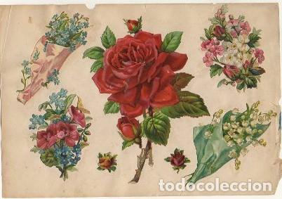 Collectionnisme Cartes &agrave; collectionner massicot&eacute;es anciennes: 5 CROMOS TROQUELADOS DE &Eacute;POCA. FLORES Y MINIATURAS. MONTADOS EN CARTULINA DE 23X16 CM. CROMOTRO-0079