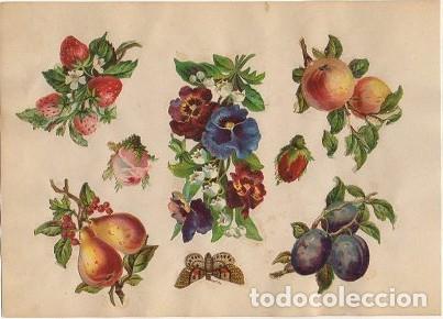 Collectionnisme Cartes &agrave; collectionner massicot&eacute;es anciennes: 8 CROMOS TROQUELADOS DE &Eacute;POCA. FLORES Y MARIPOSA. MONTADOS EN CARTULINA DE 23X16 CM. CROMOTRO-0082
