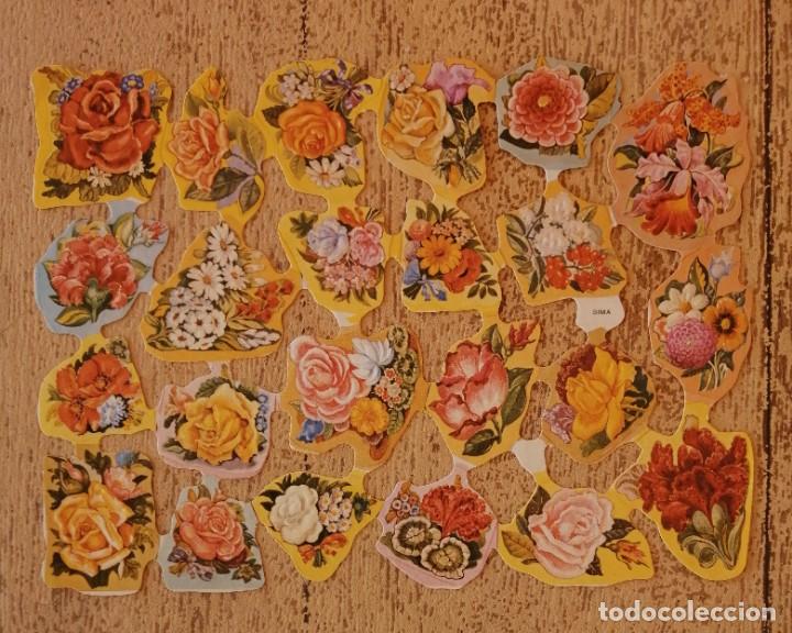 Sammeln alte gestanzte Sammelbilder: Antigua l&aacute;mina cromos troquelados Sima