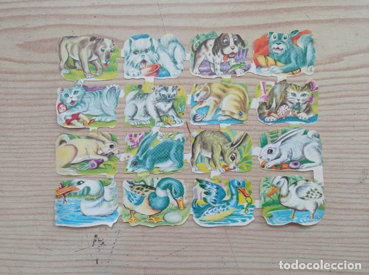 Colecionismo Cromos recortados antigos: Lamina Cromos Troquelados Edivas - Lote 14