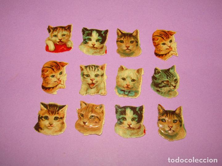 Collectionnisme Cartes &agrave; collectionner massicot&eacute;es anciennes: Antiguo Lote de 12 Cromos Troquelados y Copados con Gatitos