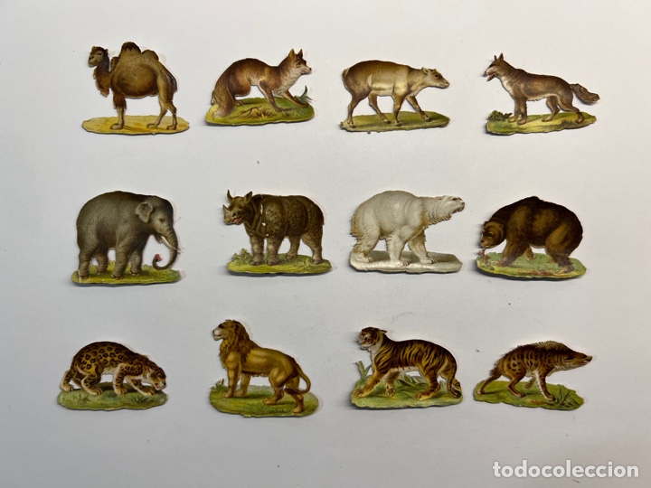 Collectionnisme Cartes &agrave; collectionner massicot&eacute;es anciennes: CROMOS (12) Troquelados&hellip; Fauna Salvaje&hellip; (h.1920?) lavados.., Med&iacute;das: 4 x 3,5 cm.