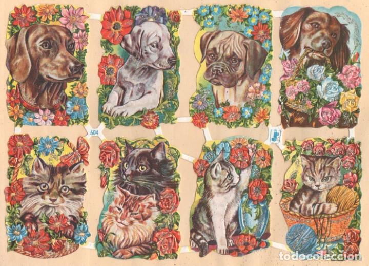 Sammeln alte gestanzte Sammelbilder: ANTIGUA L&Aacute;MINA DE CROMOS TROQUELADOS WS 604 CON PURPURINA