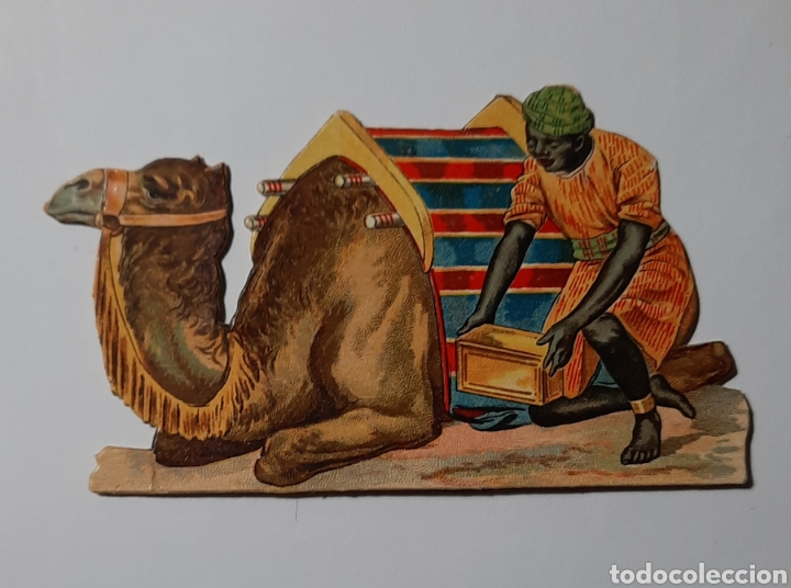 Coleccionismo Cromos troquelados antiguos: ANTIGUO CROMO TROQUELADO / CAMELLO PARA PESEBRE