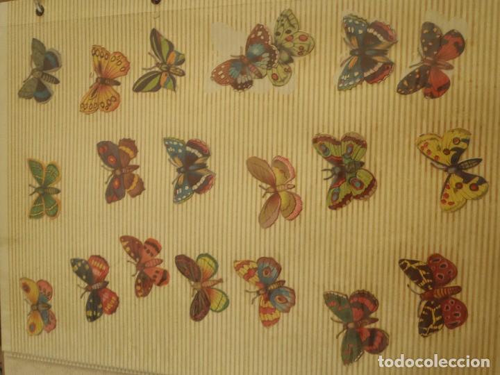 Coleccionismo cromos troquelados antiguos: CROMOS DE PICAR - MARIPOSAS - LOTE DE 39 - Foto 1