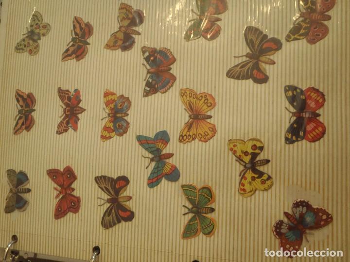 Coleccionismo cromos troquelados antiguos: CROMOS DE PICAR - MARIPOSAS - LOTE DE 39 - Foto 2