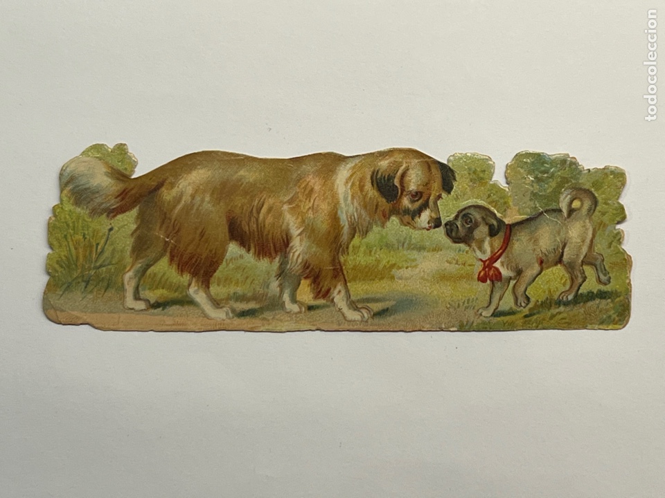 Collectable Antique Stamped Cards: CHOCOLATES AMATLLER. Cromo Troquelado PERRITOS.. .. Med&iacute;das: 12,5 x 4 cm.,