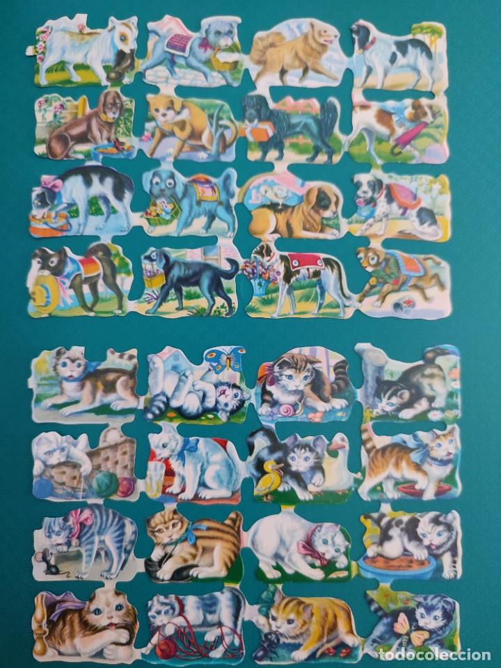 Coleccionismo Cromos troquelados antiguos: L&aacute;minas perros y gatos