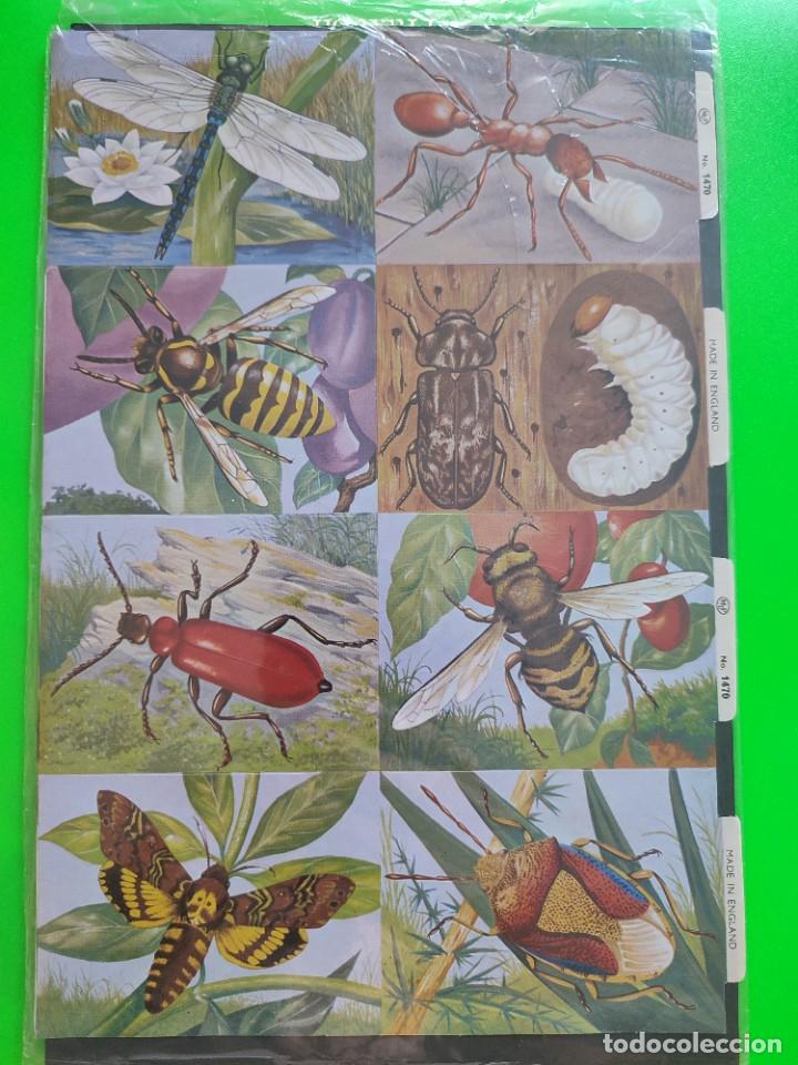 Coleccionismo cromos troquelados antiguos: Cromos troquelados Mlp - Foto 1