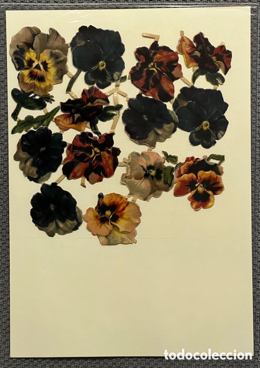 Sammeln alte gestanzte Sammelbilder: CROMOS TROQUELADOS. Lamina Petunias y flores &hellip;. (h.1930?) Med&iacute;das: 20x18 cm.,