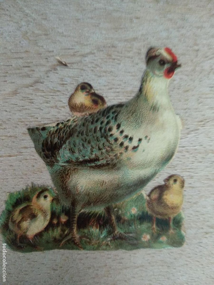 Collectable Antique Stamped Cards: CROMO TROQUELADO, AVE CON POLLUELOS. CHOCOLATE AMATLLER. BARCELONA