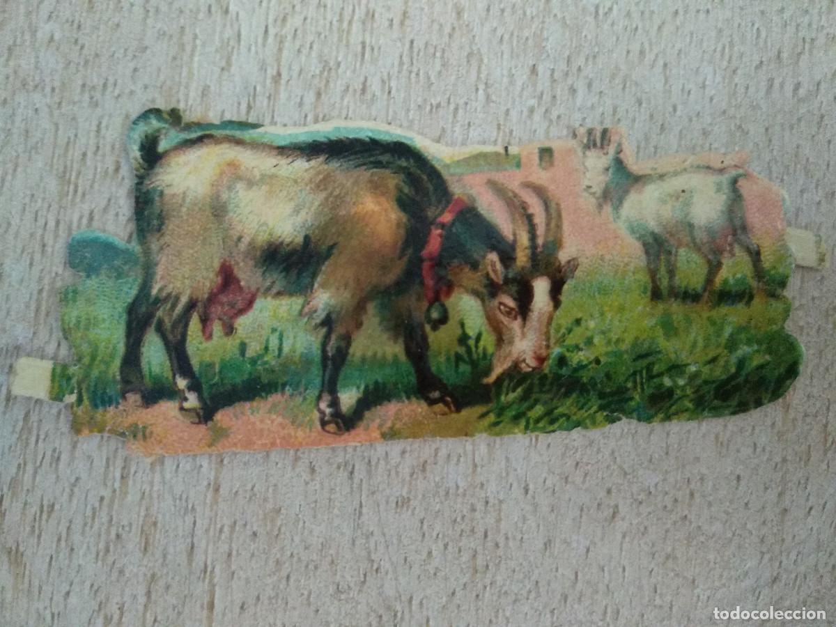 Collectable Antique Stamped Cards: CROMO TROQUELADO, CABRAS. CHOCOLATE AMATLLER. BARCELONA