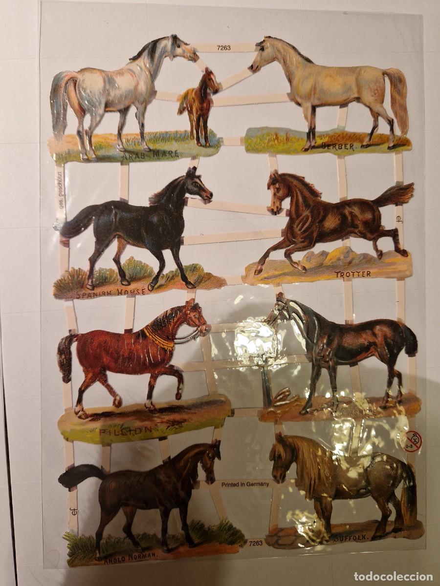 Collectable Antique Stamped Cards: CROMOS TROQUELADOS ANIMALES CABALLOS
