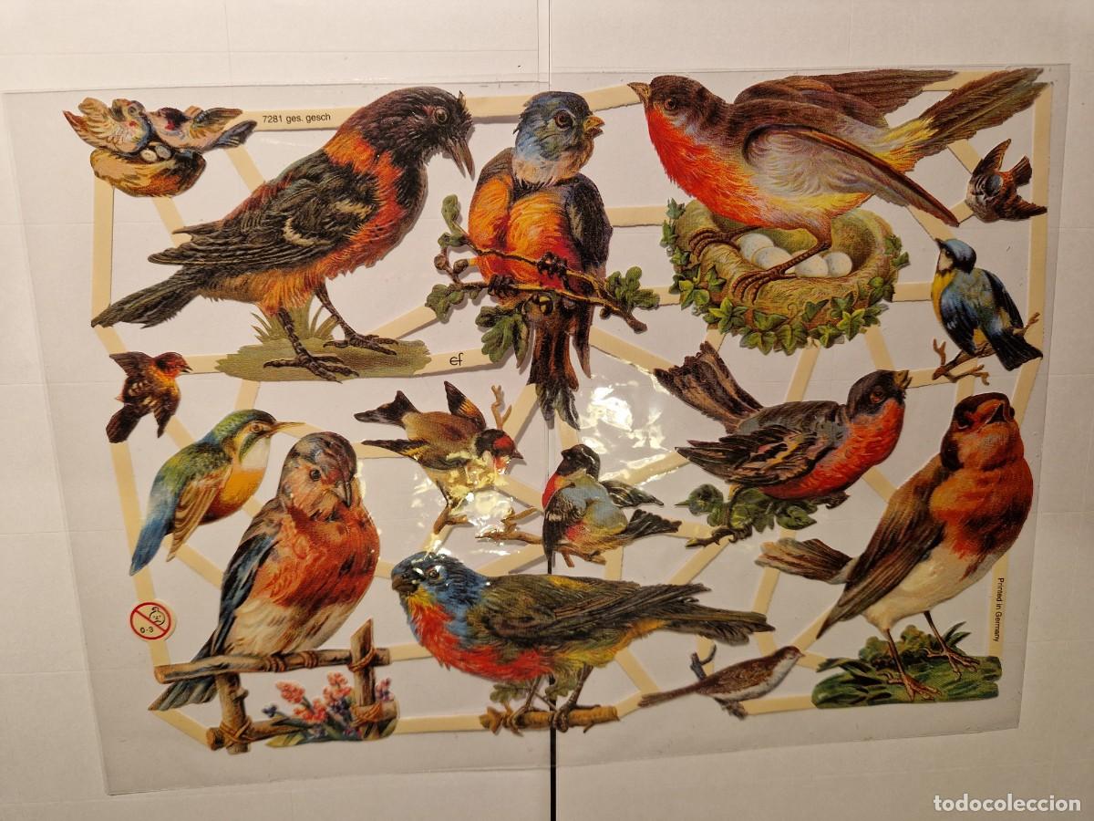 Collectable Antique Stamped Cards: CROMOS TROQUELADOS ANIMALES PAJAROS