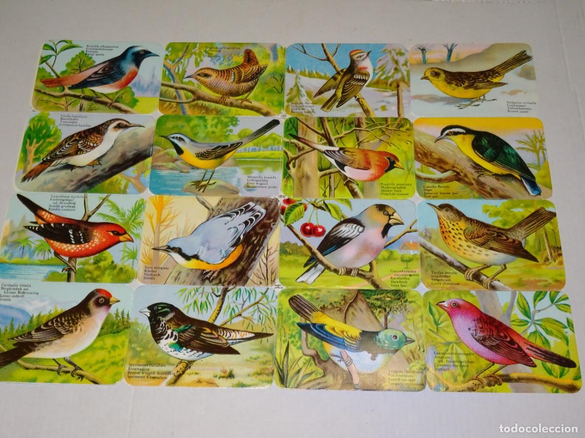 Sammeln alte gestanzte Sammelbilder: (CARP1) L&Aacute;MINA DE CROMOS TRAQUELADOS PZB 33609 GERMANY, 34X24CM, BUEN ESTADO