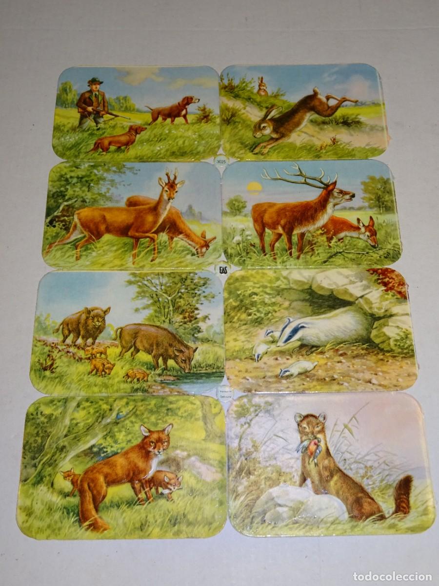 Collectionnisme Cartes &agrave; collectionner massicot&eacute;es anciennes: (CARP3) L&Aacute;MINA DE CROMOS TROQUELADOS EAS 3025 GERMANY, 24X17CM