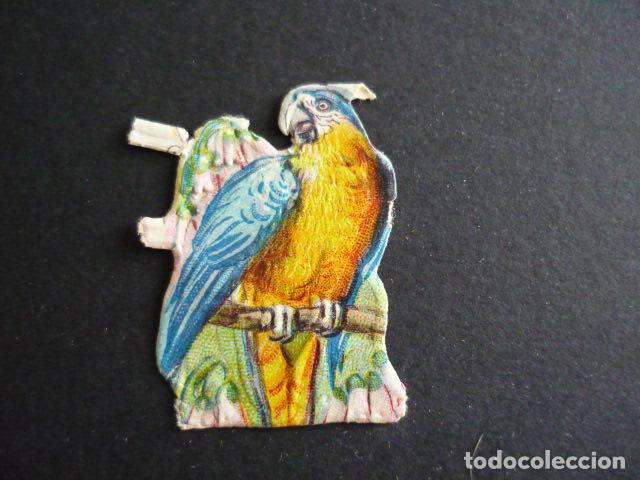 Coleccionismo cromos troquelados antiguos: LORO ANTIGUO CROMO TROQUELADO - Foto 1