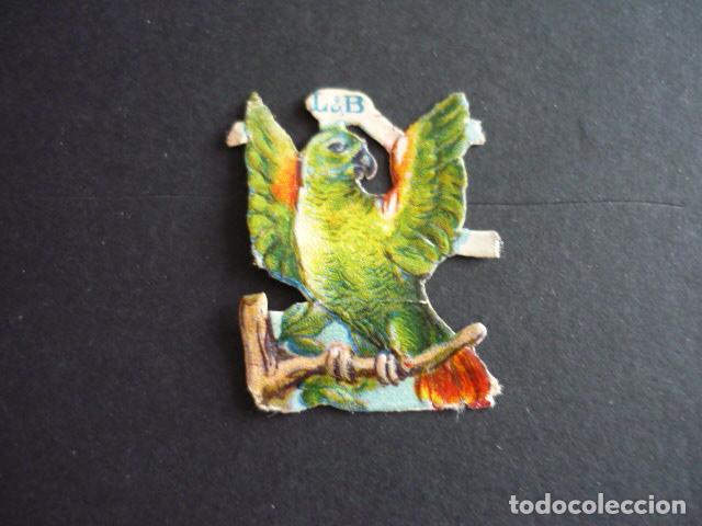 Coleccionismo cromos troquelados antiguos: LORO ANTIGUO CROMO TROQUELADO - Foto 1