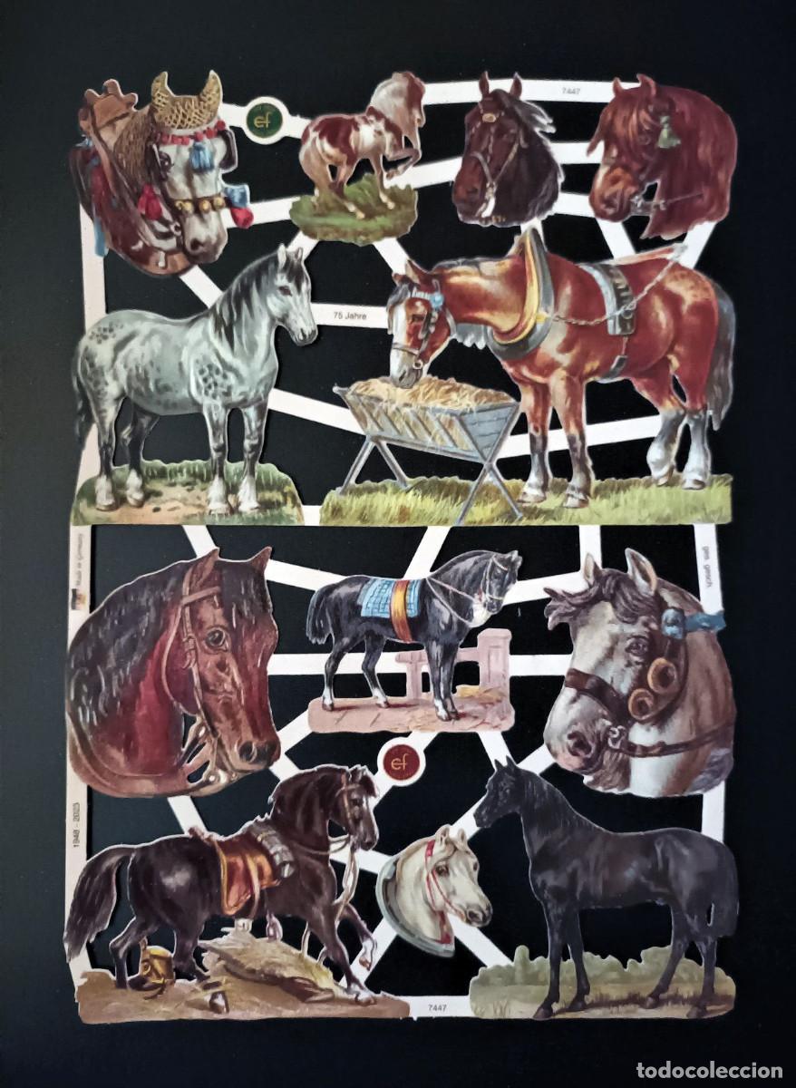 Colecionismo Cromos recortados antigos: ZPR. NUEVA 2023 LAMINA DE CROMOS TROQUELADOS CON BRILLO Y RELIEVE EF - 7447 - CABALLOS
