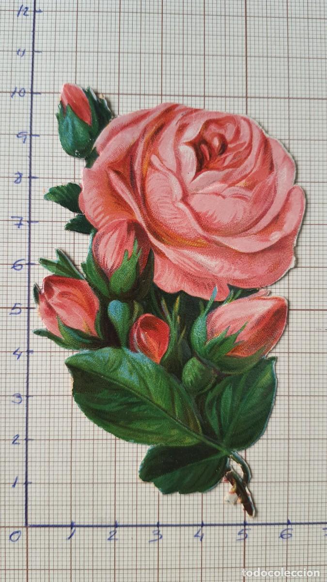 Sammeln alte gestanzte Sammelbilder: Cromo troquelado antiguo. (ref-CCH016) flor